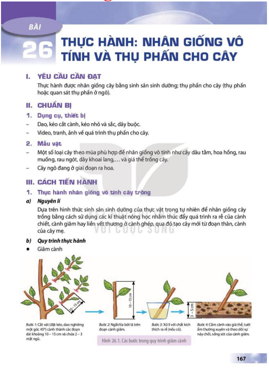 bai-26-thuc-hanh-nhan-giong-vo-tinh-va-thu-phan-cho-cay-12895