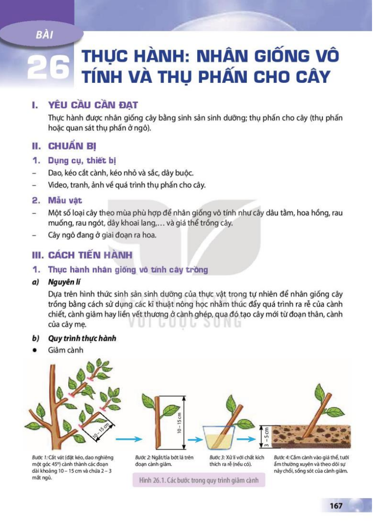 bai-26-thuc-hanh-nhan-giong-vo-tinh-va-thu-phan-cho-cay-3671