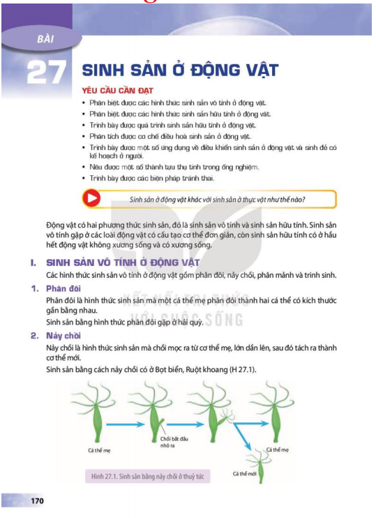 bai-27-sinh-san-o-dong-vat-12898