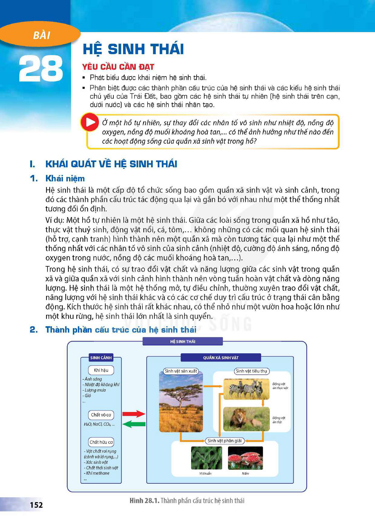 bai-28-he-sinh-thai-13064
