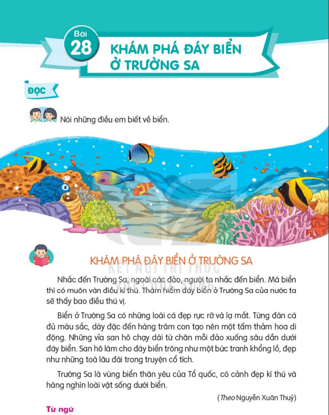 bai-28-kham-pha-day-bien-o-truong-sa-7718