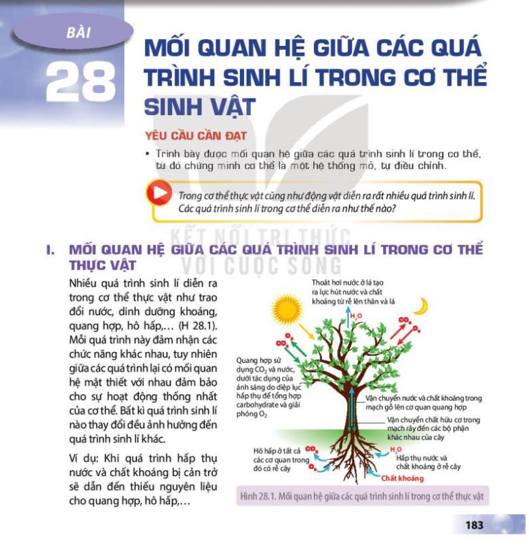 bai-28-moi-quan-he-giua-cac-qua-trinh-sinh-li-trong-co-the-sinh-vat-3673