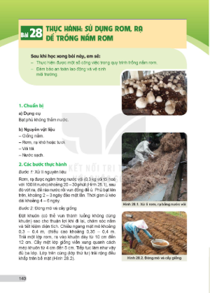 bai-28-thuc-hanh-su-dung-rom-ra-de-trong-nam-rom-13330
