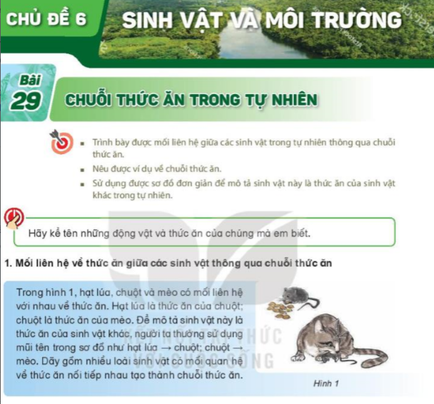 bai-29-chuoi-thuc-an-trong-tu-nhien-8261