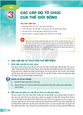 bai-3-cac-cap-do-to-chuc-cua-the-gioi-song-12802