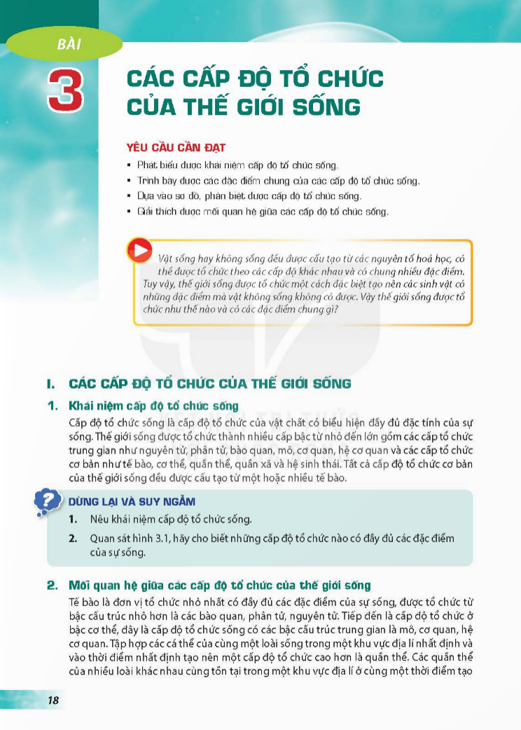 bai-3-cac-cap-do-to-chuc-cua-the-gioi-song-3711