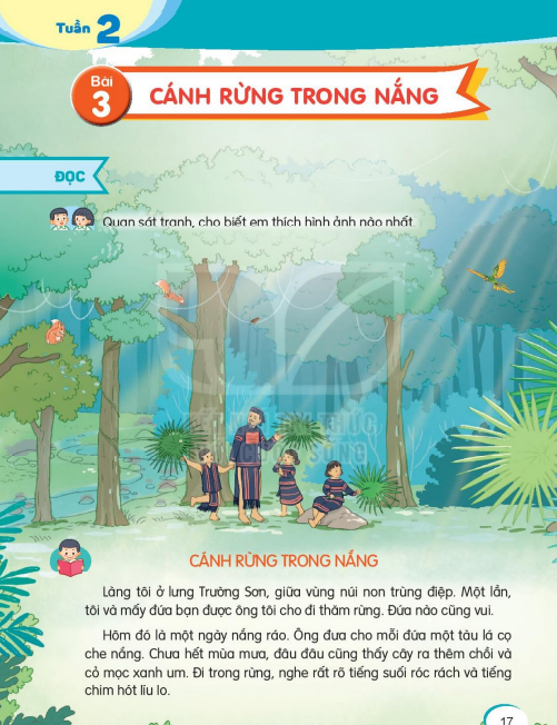 bai-3-canh-rung-trong-nang-5332