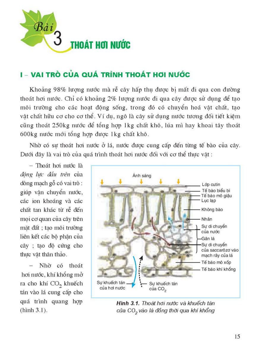 bai-3-thoat-hoi-nuoc-3377