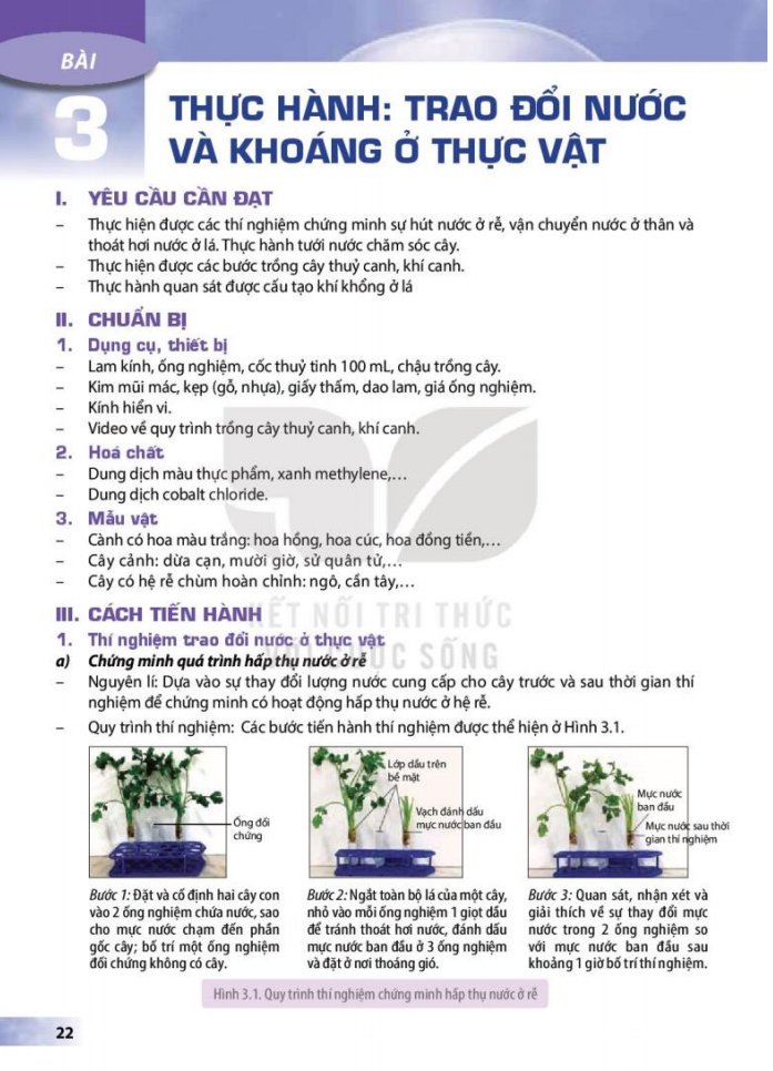 bai-3-thuc-hanh-trao-doi-nuoc-va-khoang-o-thuc-vat-3480