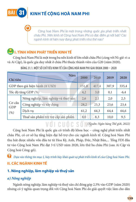 bai-31-kinh-te-cong-hoa-nam-phi-12327