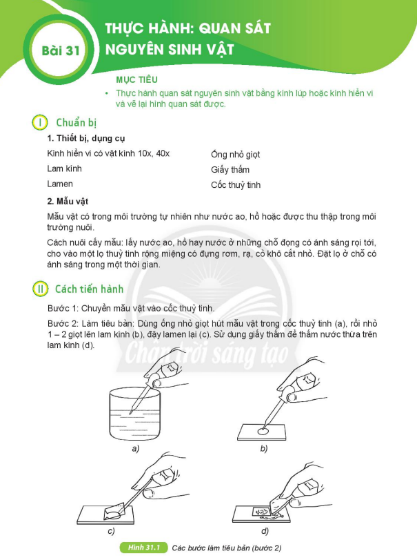 bai-31-thuc-hanh-quan-sat-nguyen-sinh-vat-7957
