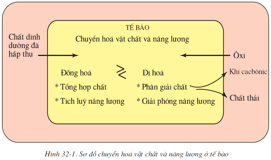 bai-32-chuyen-hoa-2525