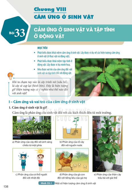 bai-33-cam-ung-o-sinh-vat-va-tap-tinh-o-dong-vat-9052