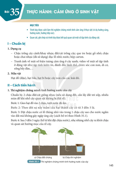 bai-35-thuc-hanh-cam-ung-o-sinh-vat-9055