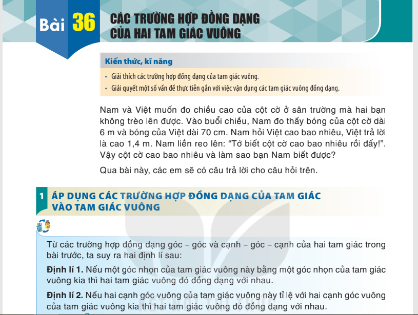 bai-36-cac-truong-hop-dong-dang-cua-hai-tam-giac-vuong-8477