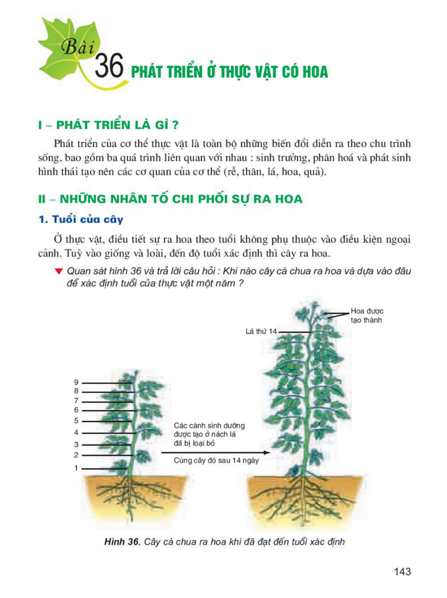 bai-36-phat-trien-o-thuc-vat-co-hoa-3456
