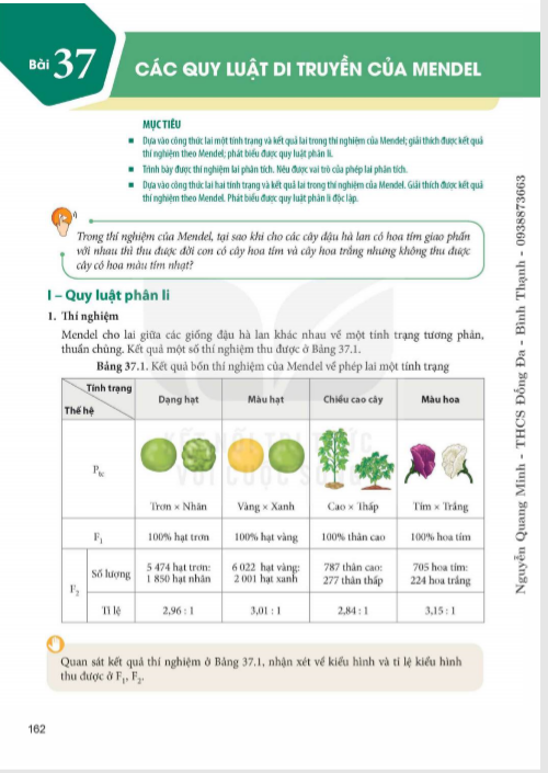 bai-37-cac-quy-luat-di-truyen-cua-mendel-9492