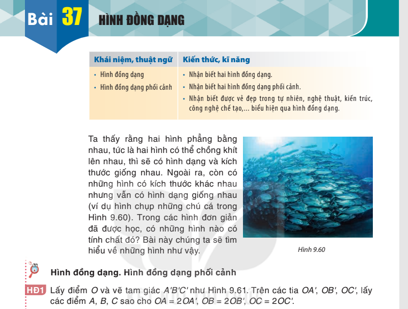 bai-37-hinh-dong-dang-8524