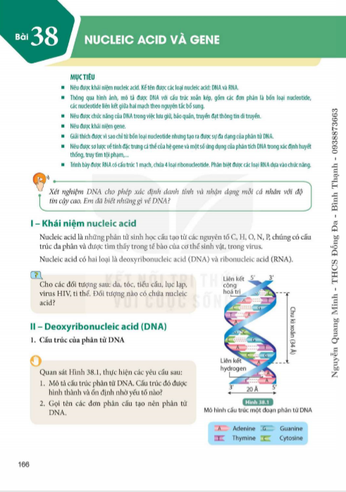 bai-38-nucleic-acid-va-gene-9495