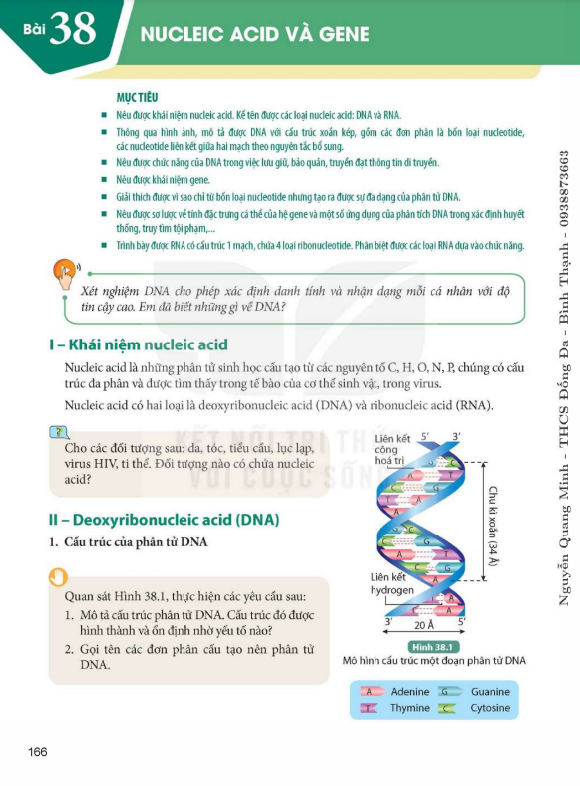 bai-38-nucleic-acid-va-gene-9540