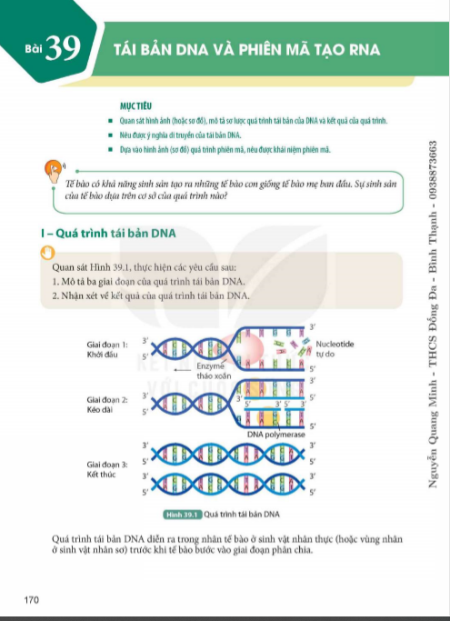 bai-39-tai-ban-dna-va-phien-ma-tao-rna-9496