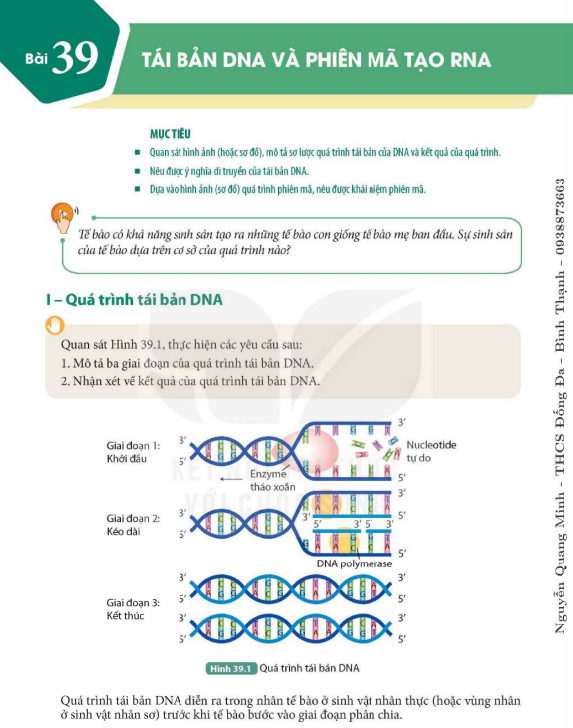 bai-39-tai-ban-dna-va-phien-ma-tao-rna-9543