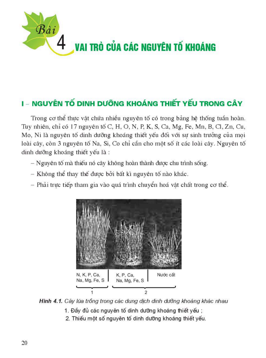 bai-4-vai-tro-cua-cac-nguyen-to-khoang-3378