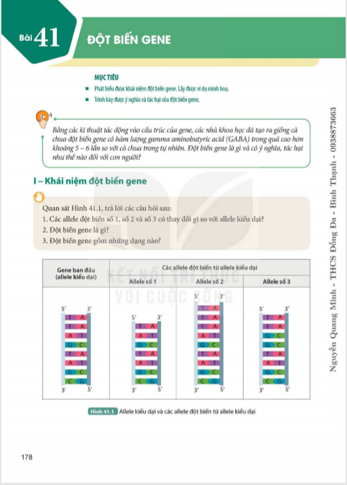 bai-41-dot-bien-gene-9498