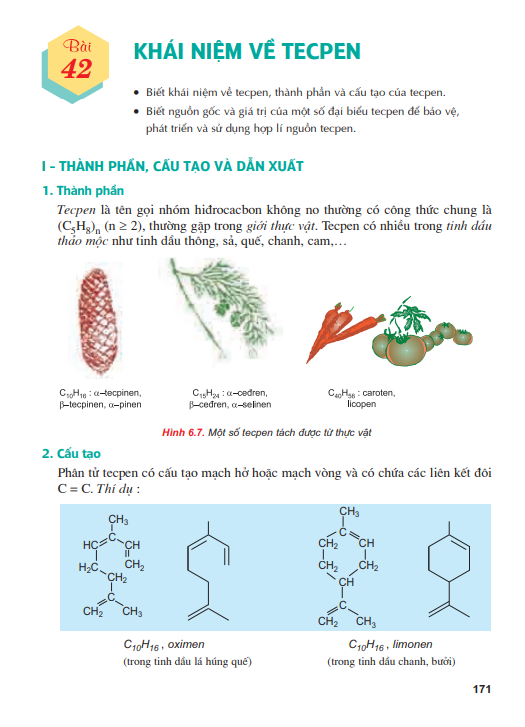 bai-42-khai-niem-ve-tecpen-4094