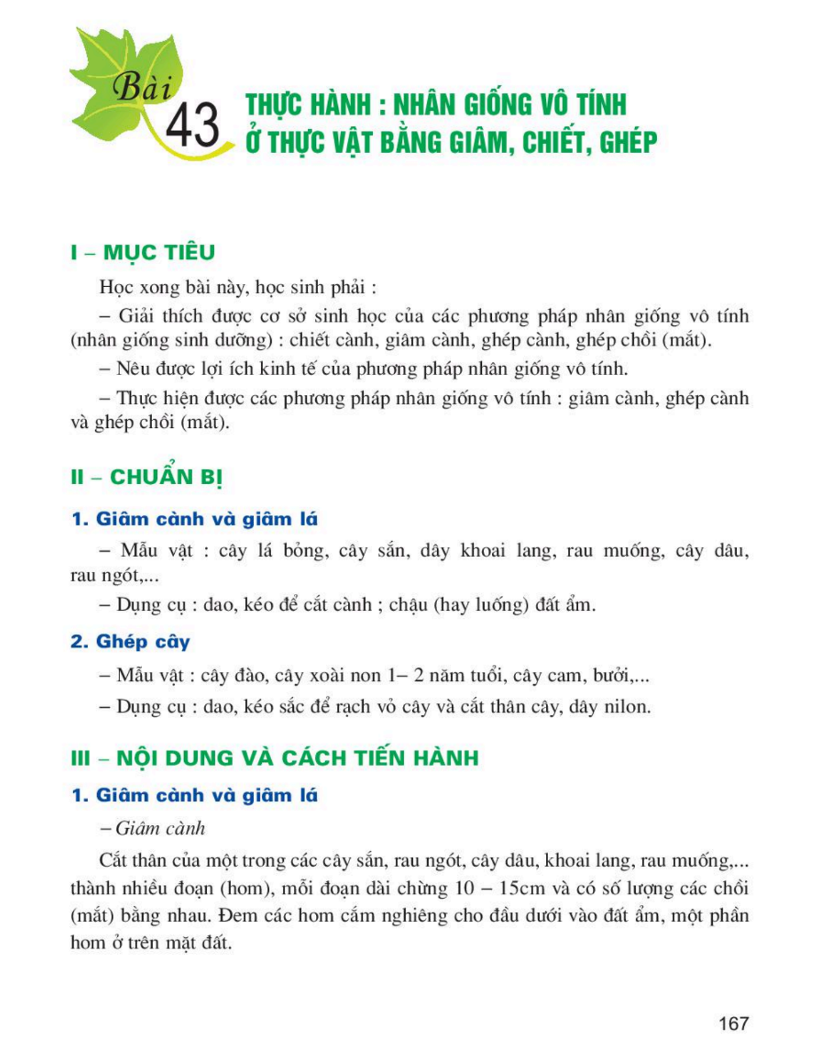 bai-43-thuc-hanh-nhan-giong-vo-tinh-o-thuc-vat-bang-giam-chiet-ghep-3513