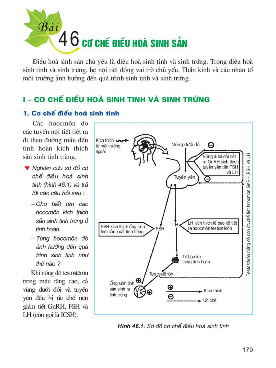 bai-46-co-che-dieu-hoa-sinh-san-3516