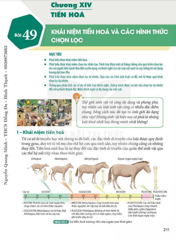 bai-49-khai-niem-tien-hoa-va-cac-hinh-thuc-chon-loc-9834