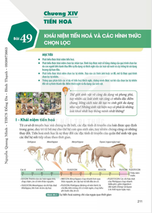 bai-49-khai-niem-tien-hoa-va-cac-hinh-thuc-chon-loc-9567