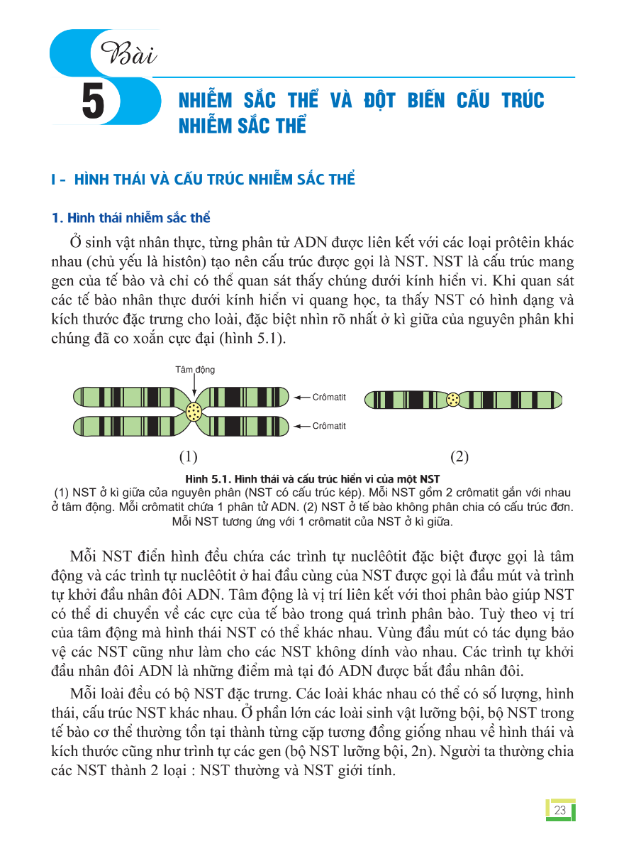 bai-5-nhiem-sac-the-va-dot-bien-cau-truc-nhiem-sac-the-3119