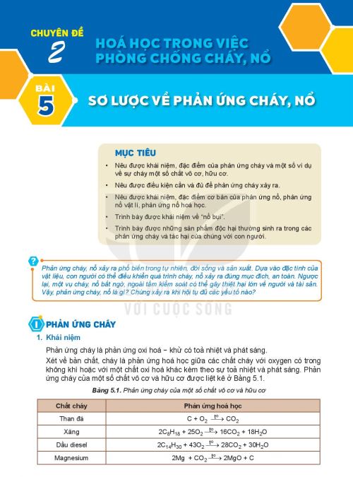 bai-5-so-luoc-ve-phan-ung-chay-no-13215