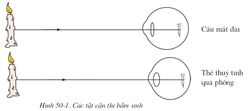 bai-50-ve-sinh-mat-2585