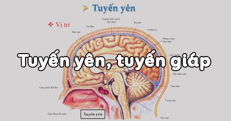 bai-56-tuyen-yen-tuyen-giap-2591