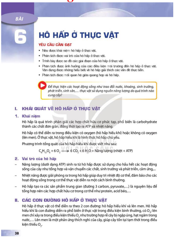 bai-6-ho-hap-o-thuc-vat-12065