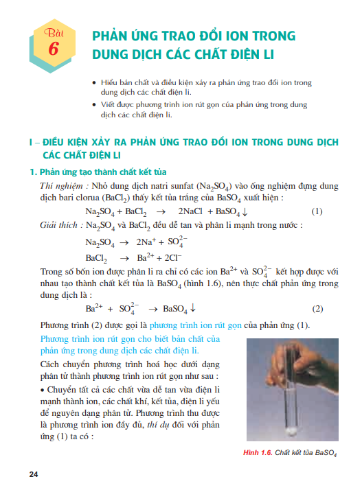 bai-6-phan-ung-trao-doi-ion-trong-dung-dich-cac-chat-dien-li-4057