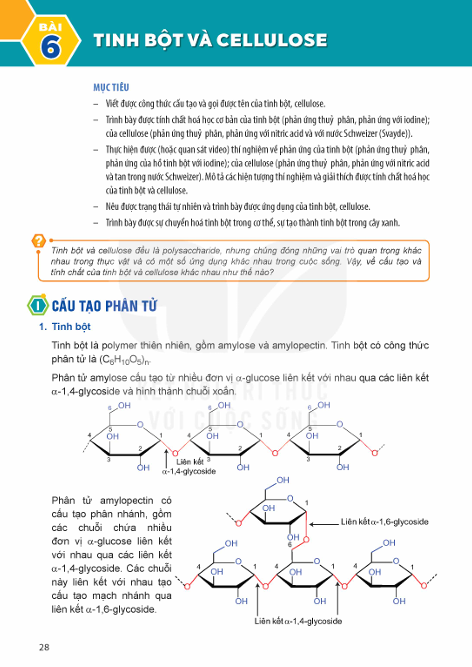 bai-6-tinh-bot-va-cellulose-13504
