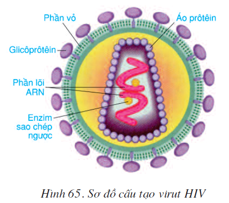 bai-65-dai-dich-aids-tham-hoa-cua-loai-nguoi-2610