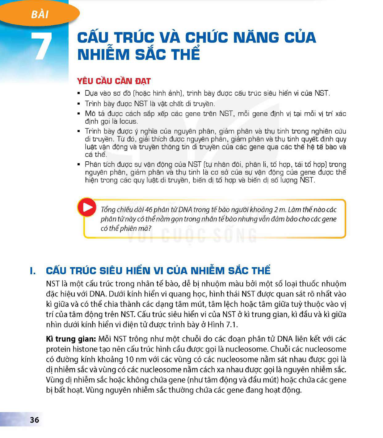 bai-7-cau-truc-va-chuc-nang-cua-nhiem-sac-the-12916