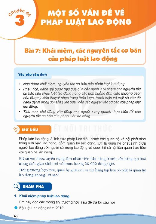 bai-7-khai-niem-cac-nguyen-tac-co-ban-cua-phap-luat-lao-dong-13598