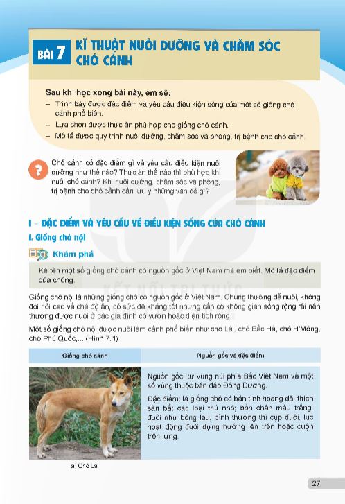 bai-7-ki-thuat-nuoi-duong-va-cham-soc-cho-canh-13792