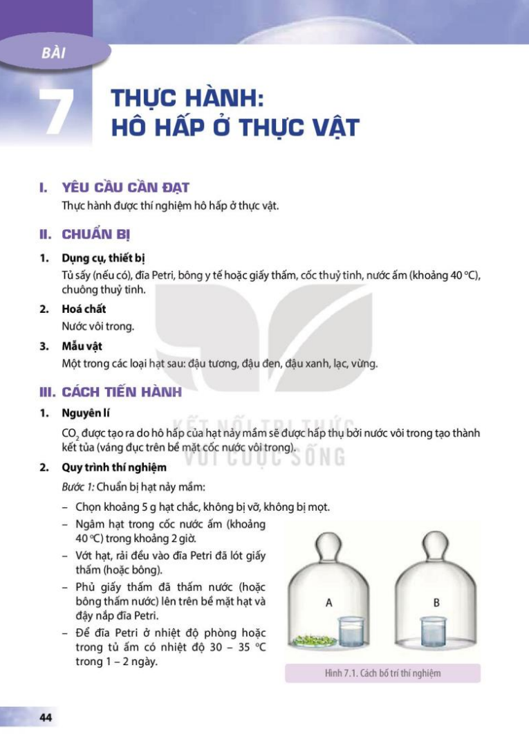 bai-7-thuc-hanh-ho-hap-o-thuc-vat-3648