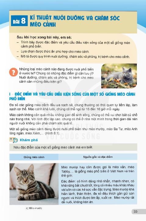 bai-8-ki-thuat-nuoi-duong-va-cham-soc-meo-canh-13793