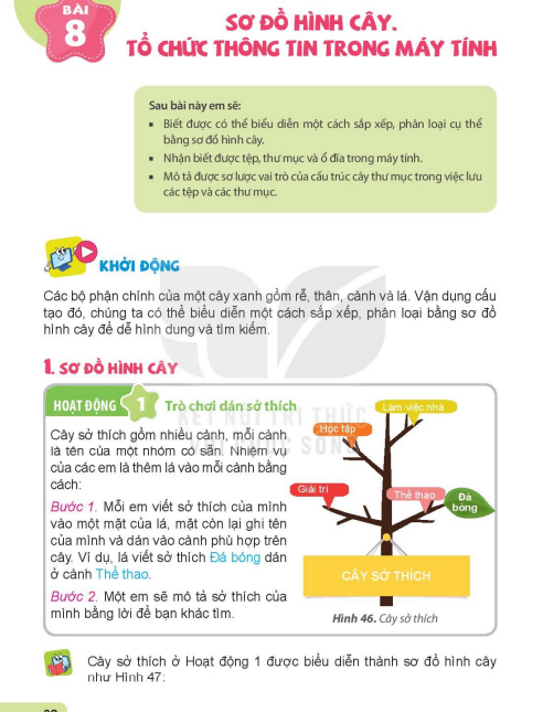 bai-8-so-do-hinh-cay-to-chuc-thong-tin-trong-may-tinh-5641