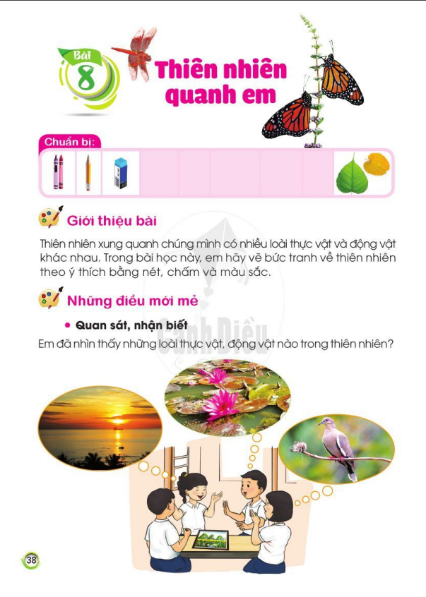 bai-8-thien-nhien-quanh-em-9165