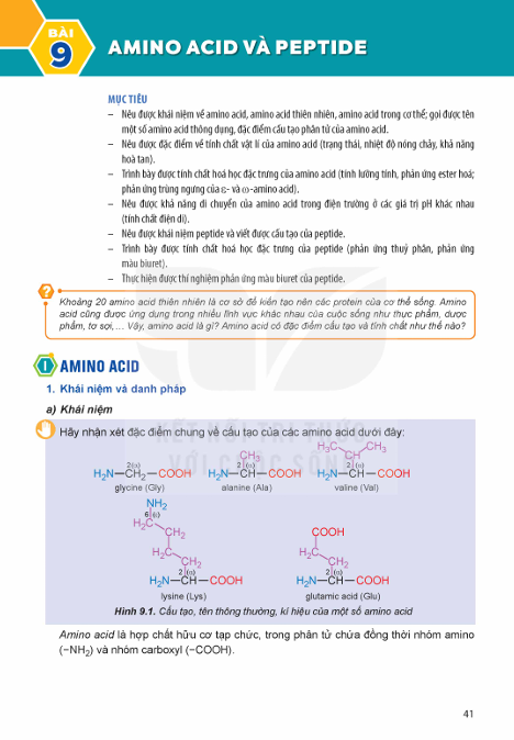bai-9-amino-acids-and-peptides-13508