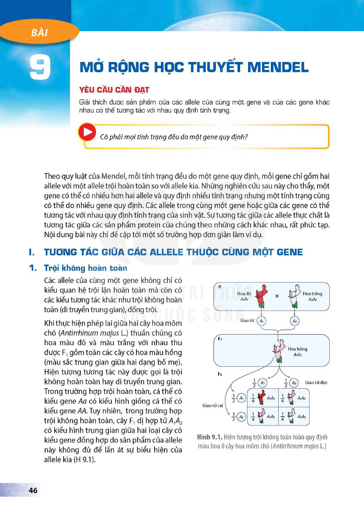 bai-9-mo-rong-hoc-thuyet-mendel-12943